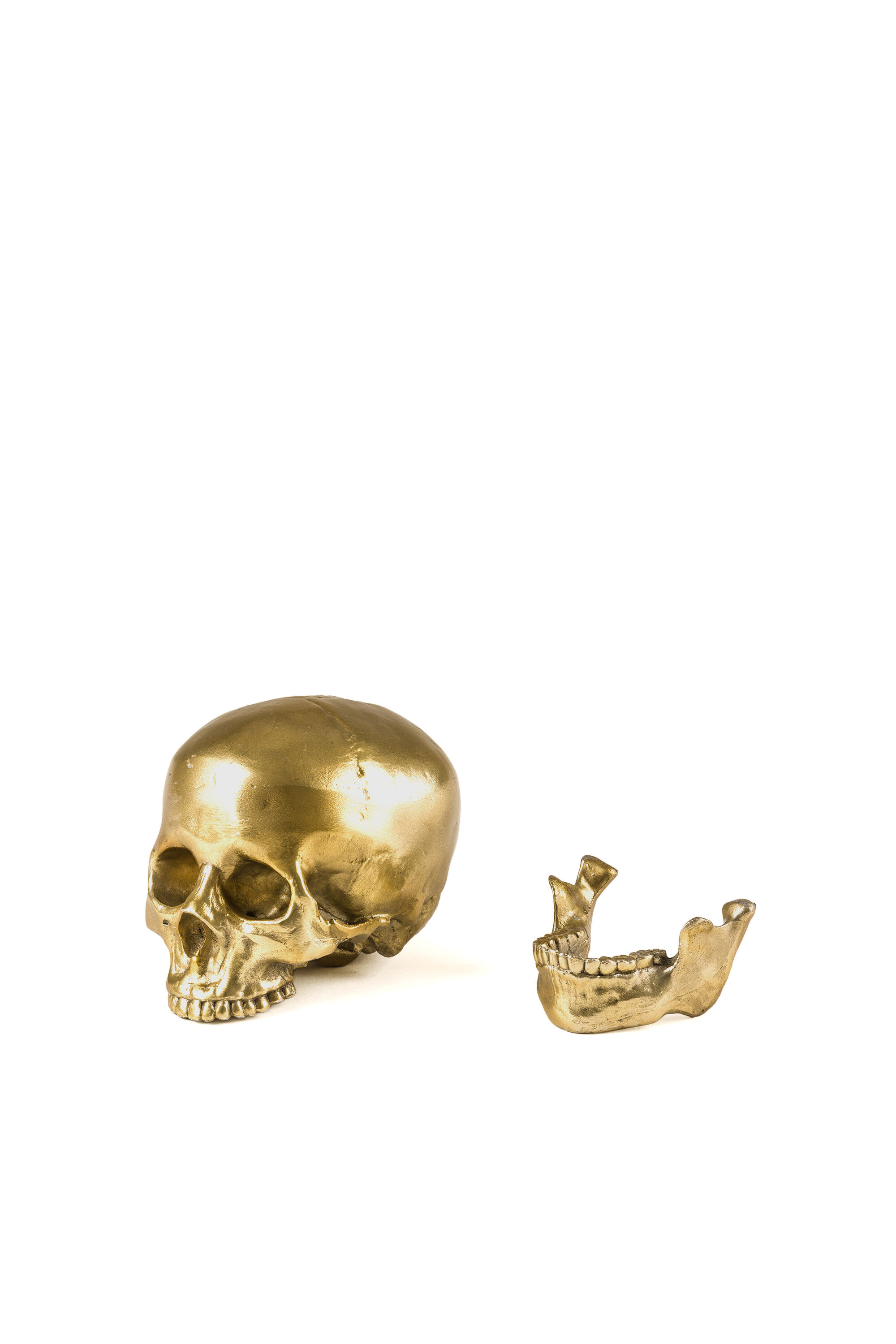10891 Wunderkammer: 