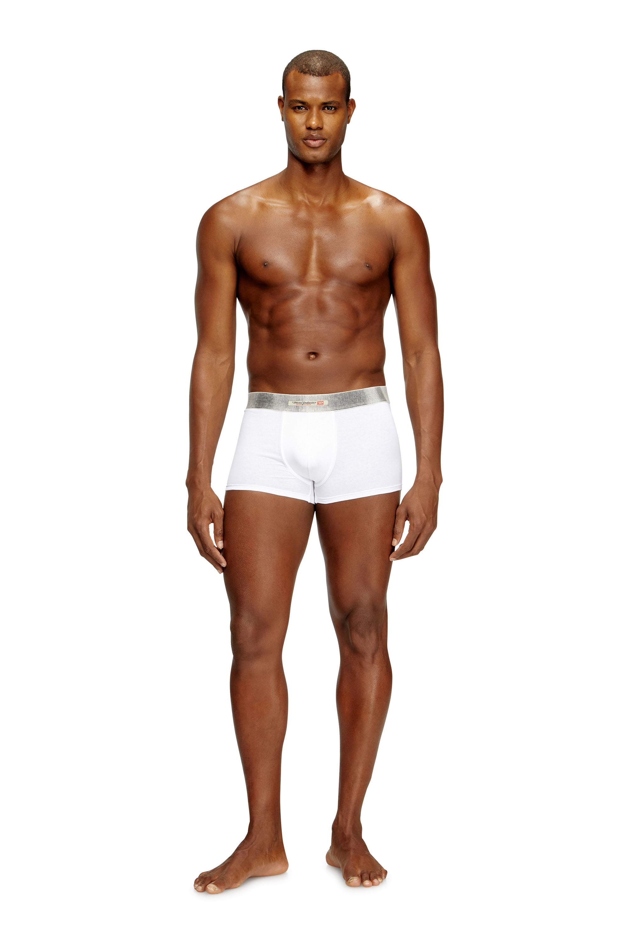 Diesel - DAMIEN-DNM-3PACK, Man's Three-pack of stretch cotton boxer briefs with satin waistband in White - 1