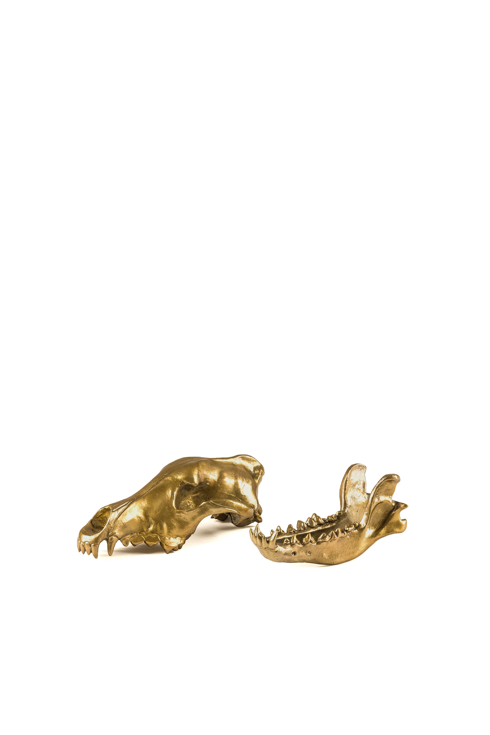 10892 Wunderkammer: 