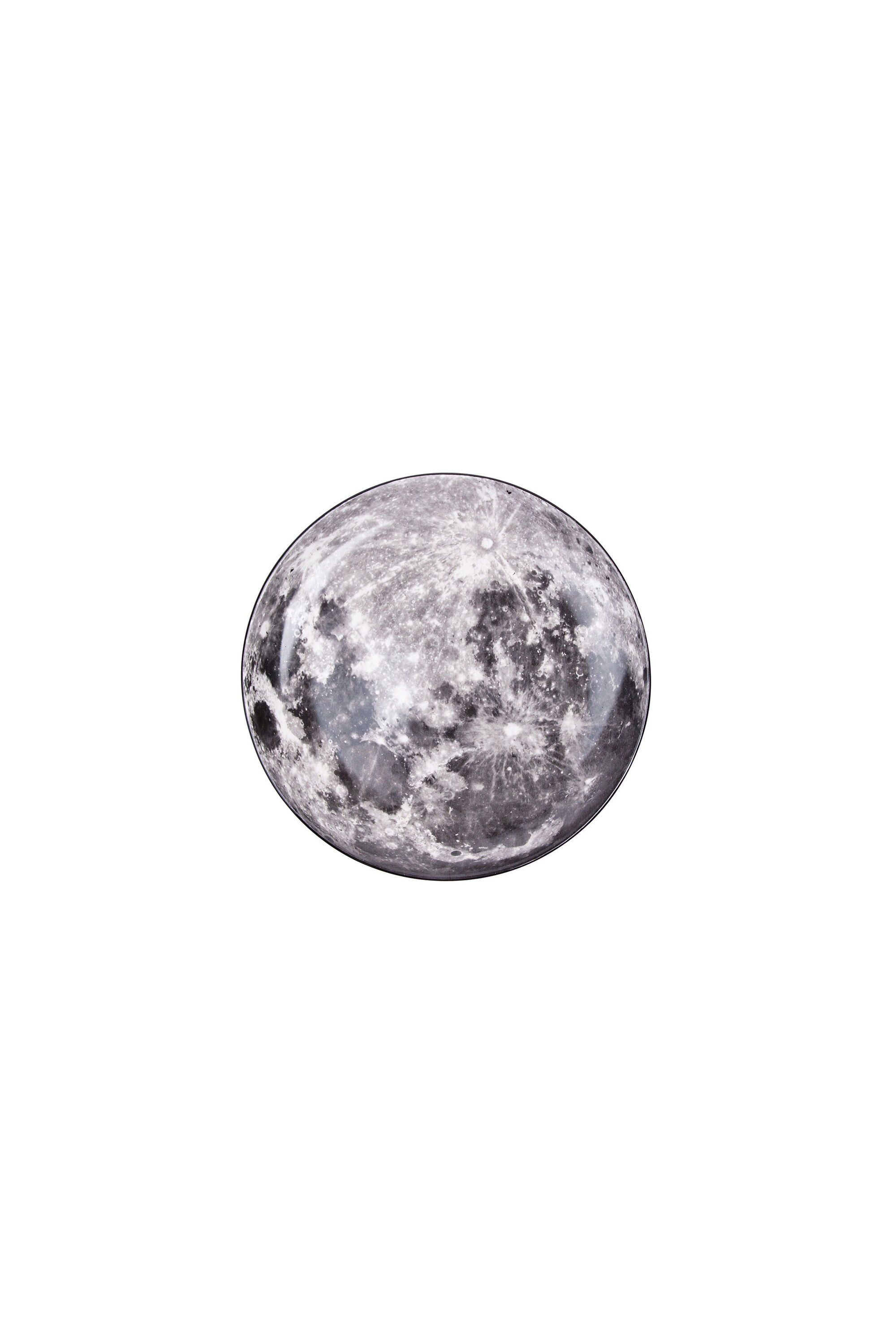 10829 COSMIC DINER: Porcelain dinner plate 10829 COSMIC DINER: Porcelain dinner plate