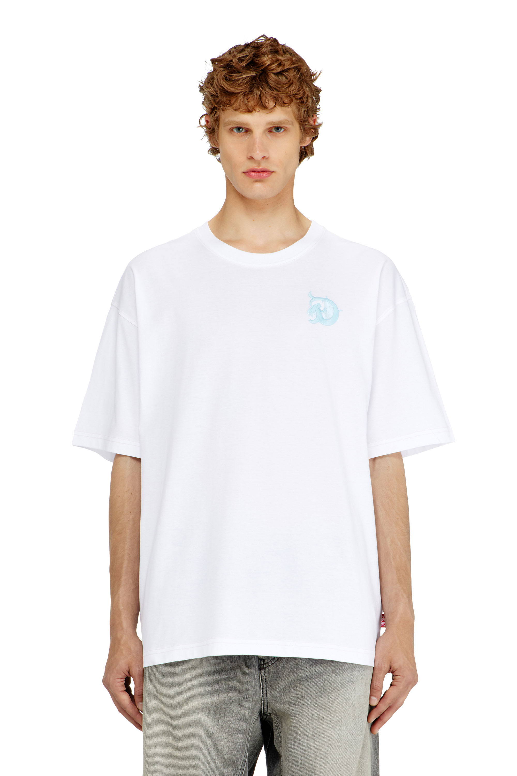 Diesel - T-BOXT-AA11, Man's Jersey T-shirt with flocked print in null - 1