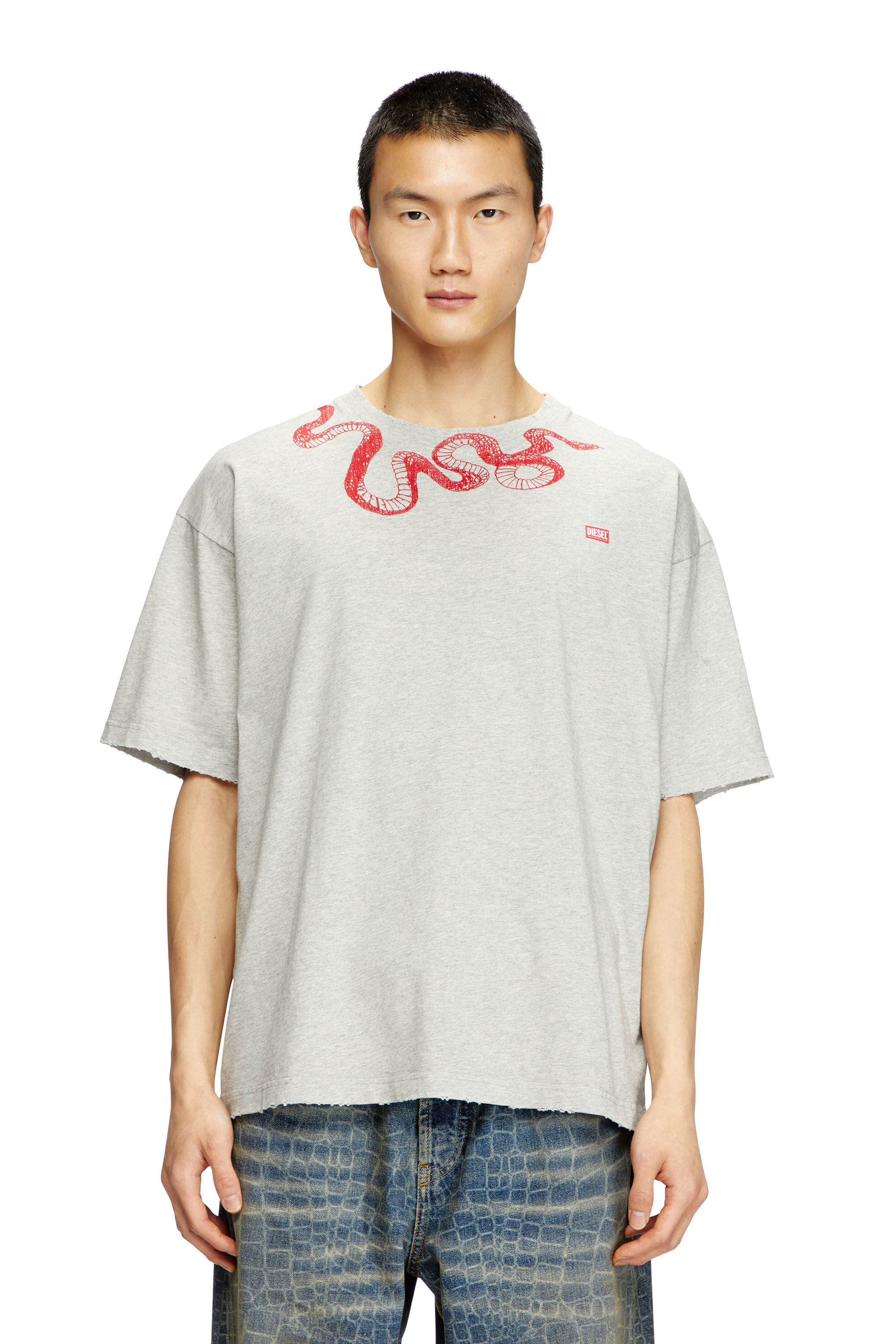 Women's T-shirt with snake embroidery | Grey | Diesel