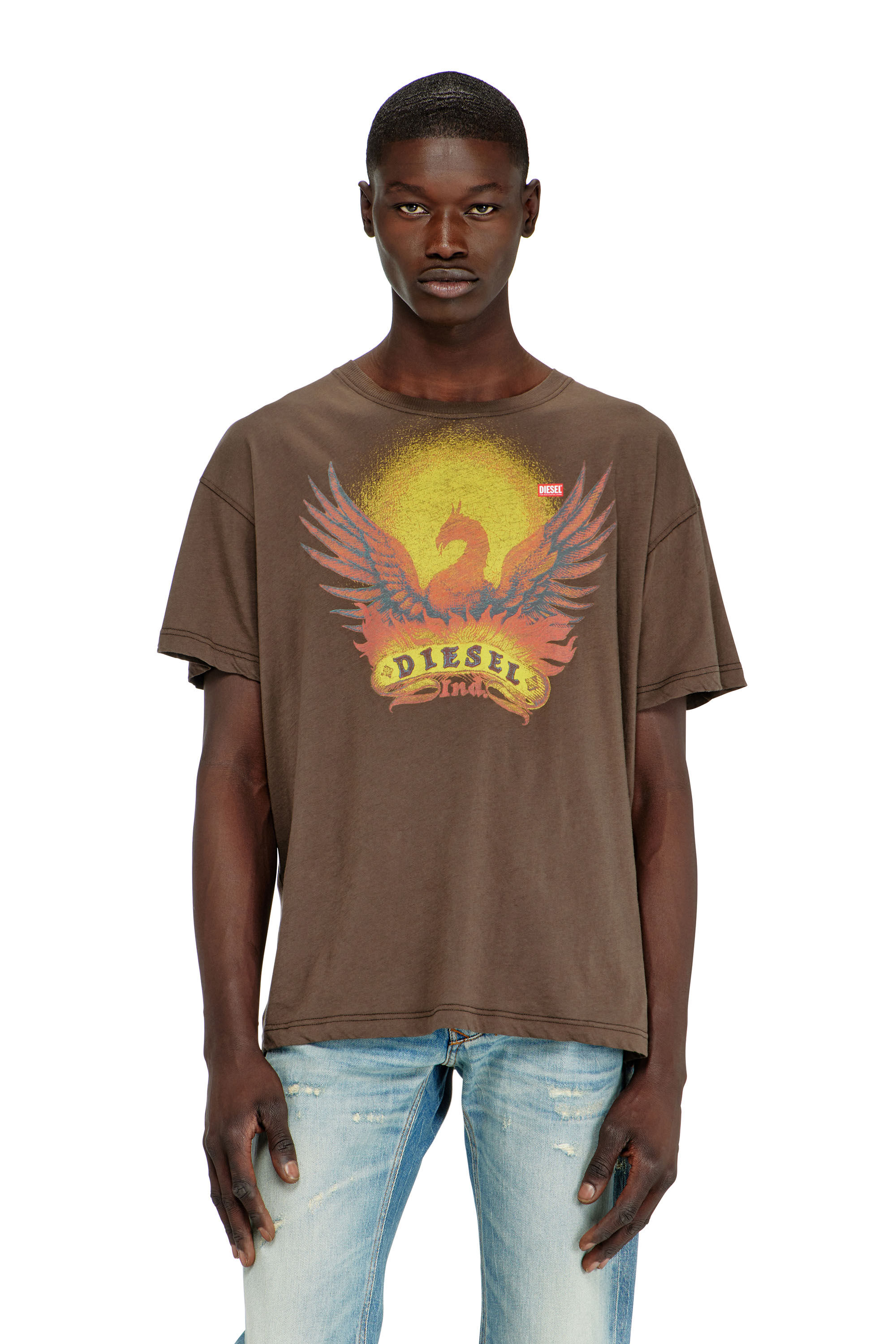 Diesel - T-NORM-AA1, Man's Regular T-shirt with Phoenix print in Brown - 3