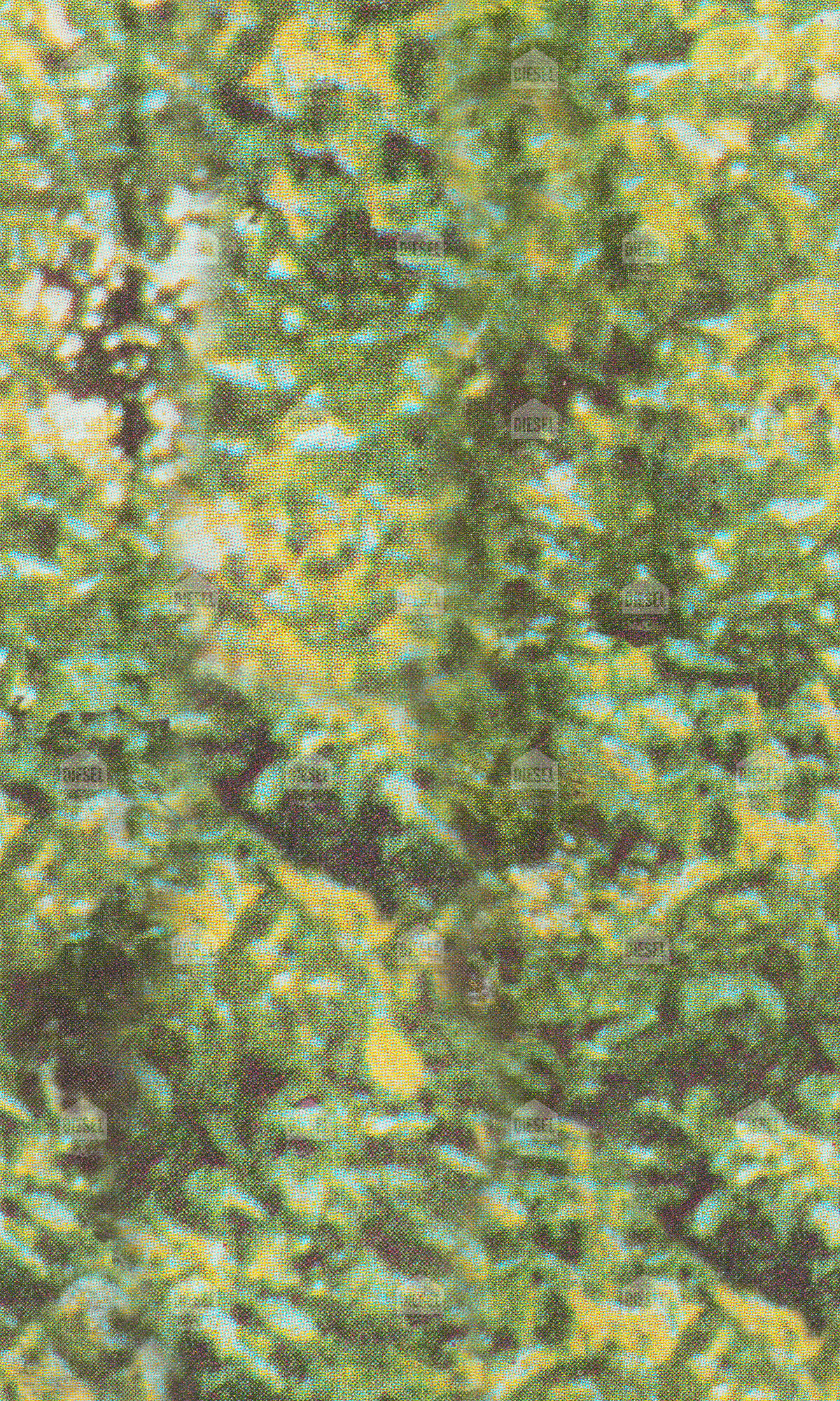 Diesel - FOREST CAMO, ED_DSFC2101 - Image 1