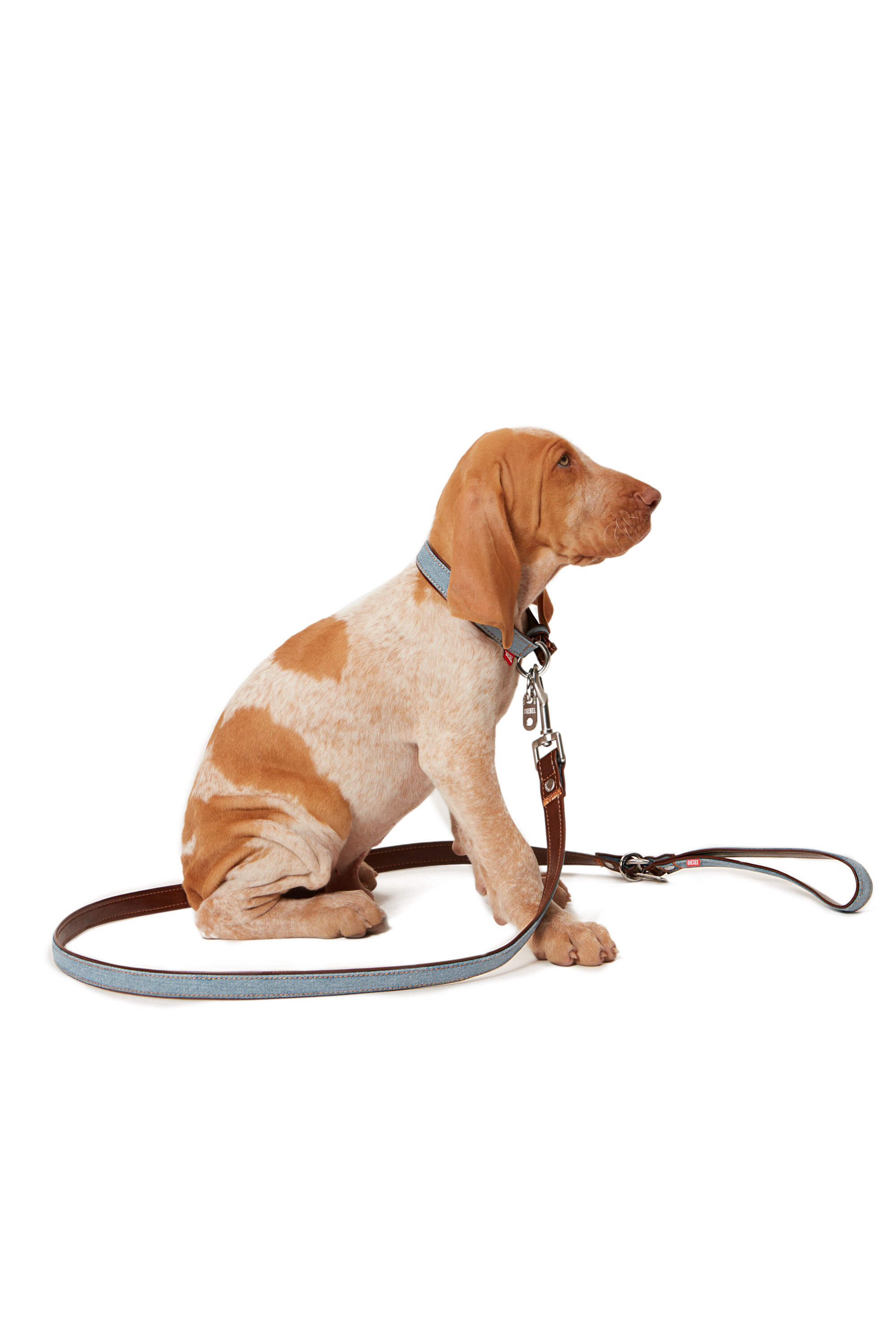 PET LEASH Dog leash in denim and fabric Diesel