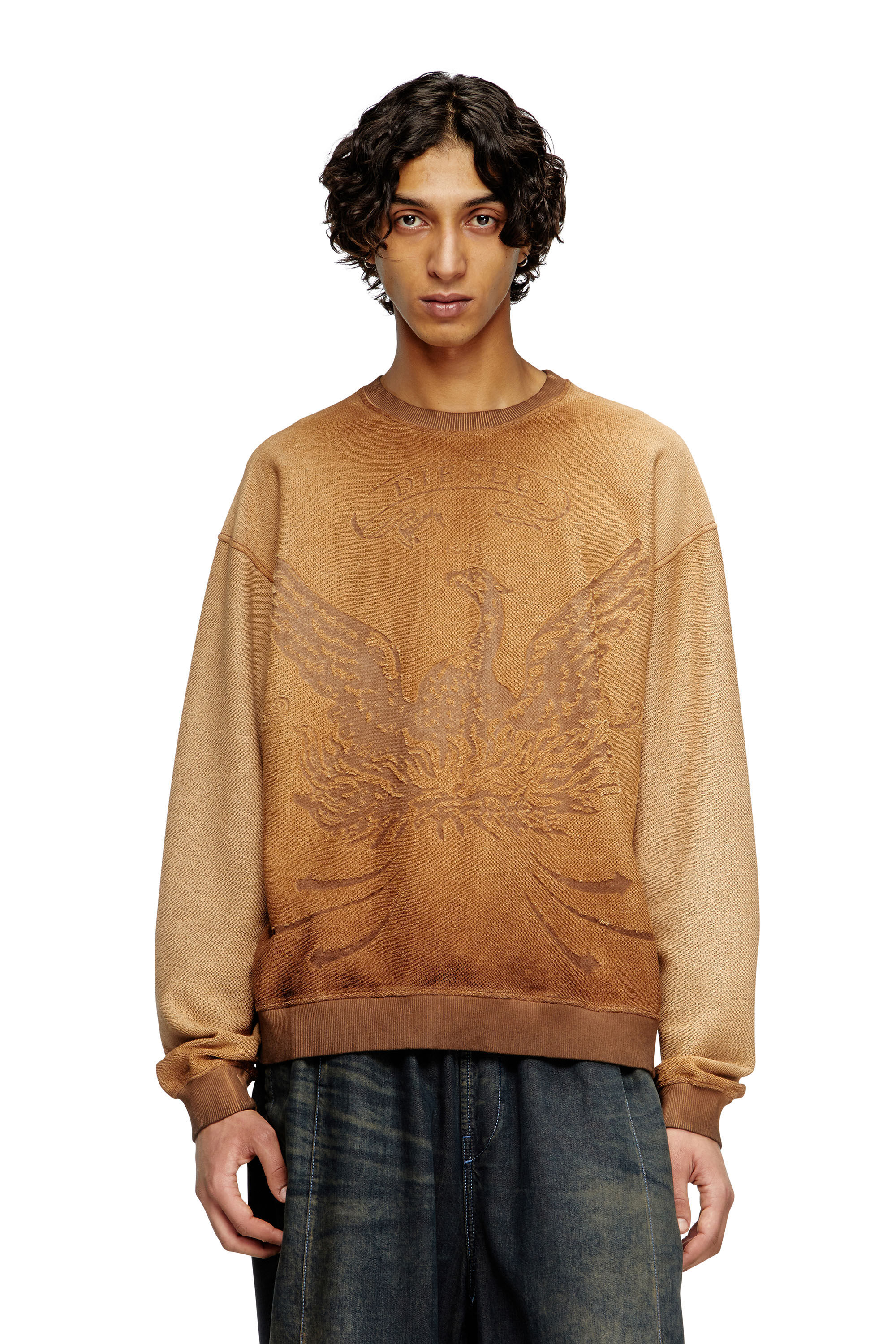 スウェット・トレーナー DIESEL S Burnt Sweatshirt Multicolor A133290NFAV9XXA A133290 スウェット・トレーナー DIESEL S Burnt Sweatshirt Multicolor
