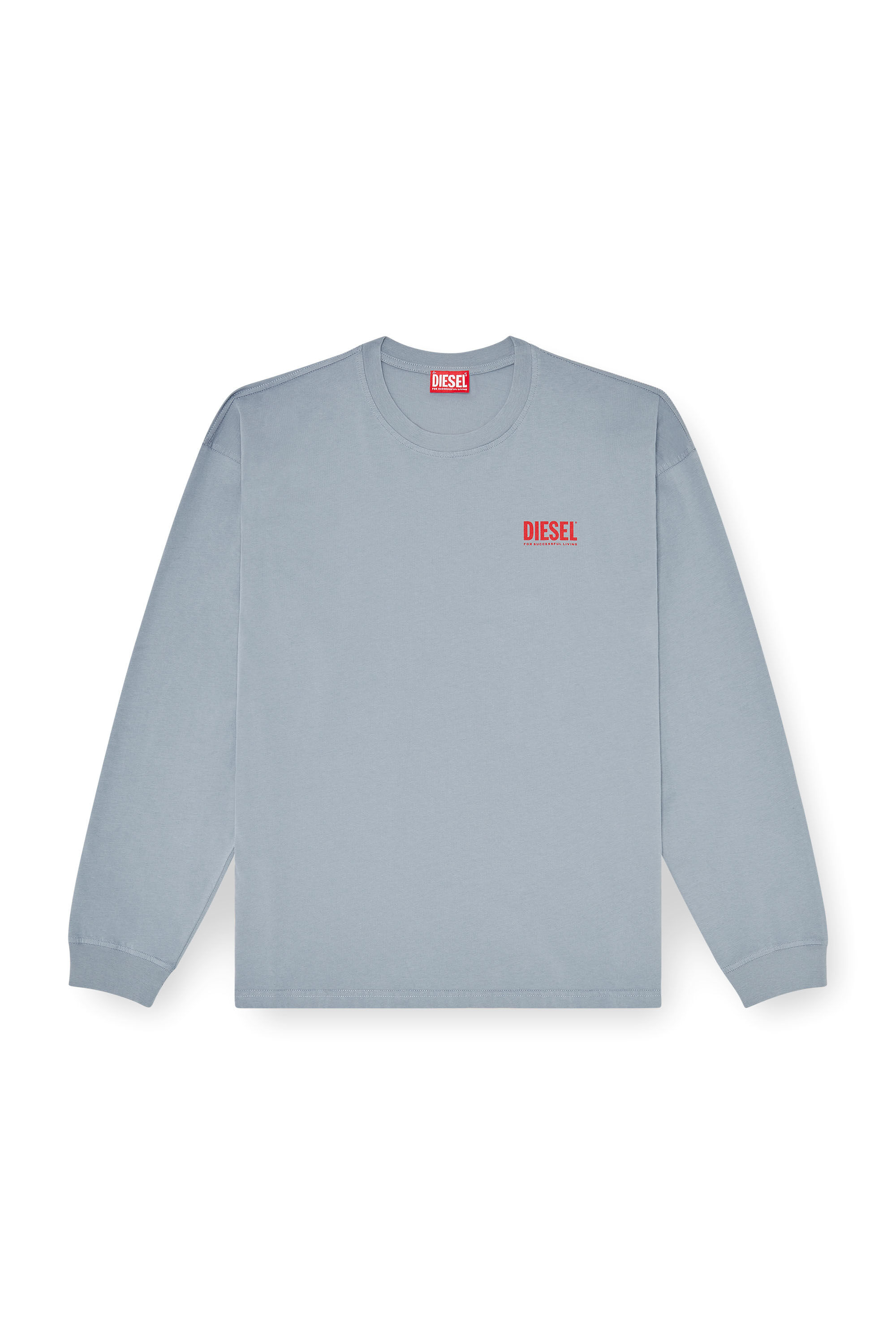 Diesel - T-BOXT-LS-BISK, Man's Relaxed long-sleeve T-shirt with Biscotto logo in Light Blue - 4