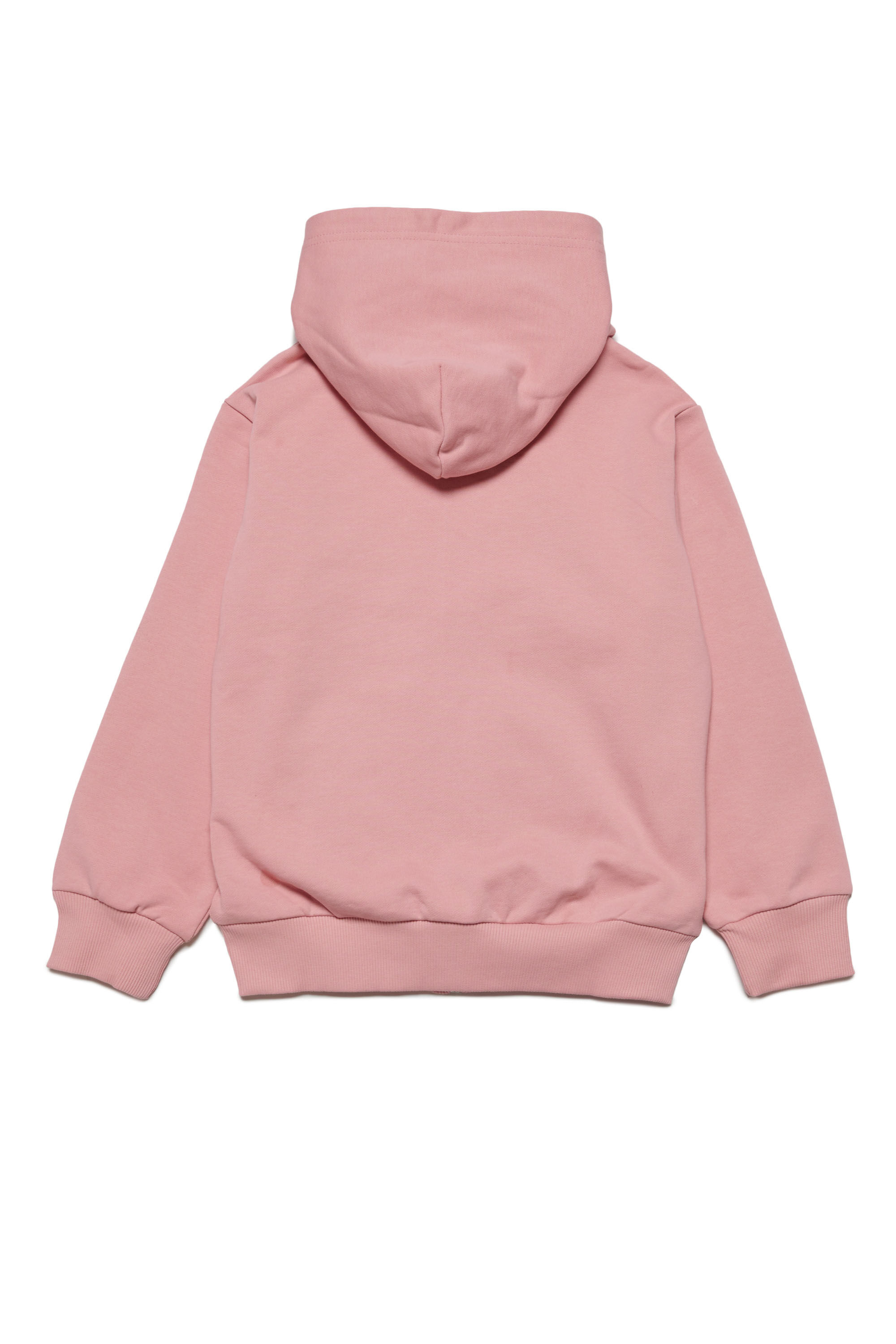 Pink sale aspects hoodie