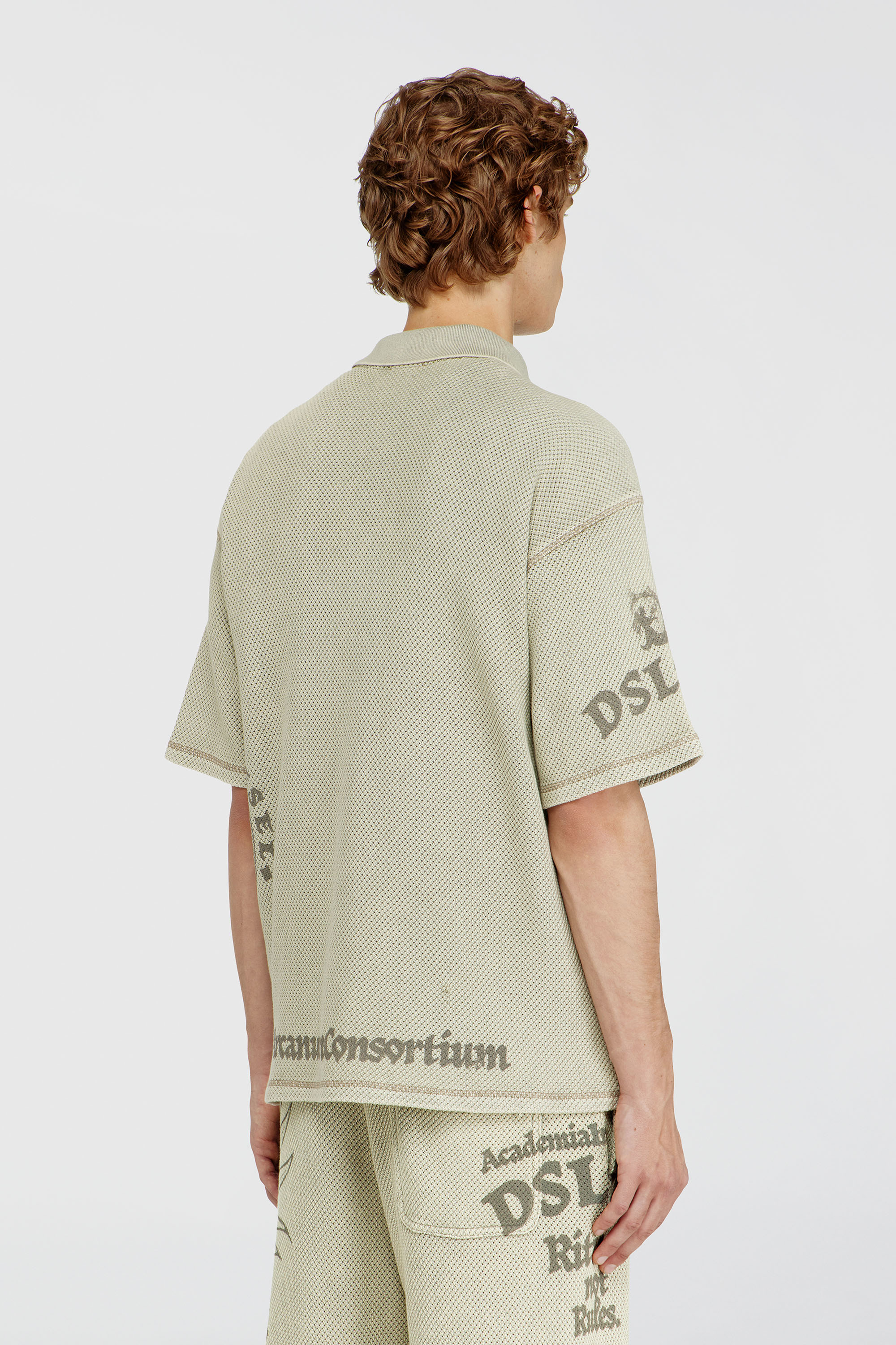 Diesel - T-ERRY-ZIP, Man's Mesh-jacquard polo shirt with Phoenix print in Beige - 2