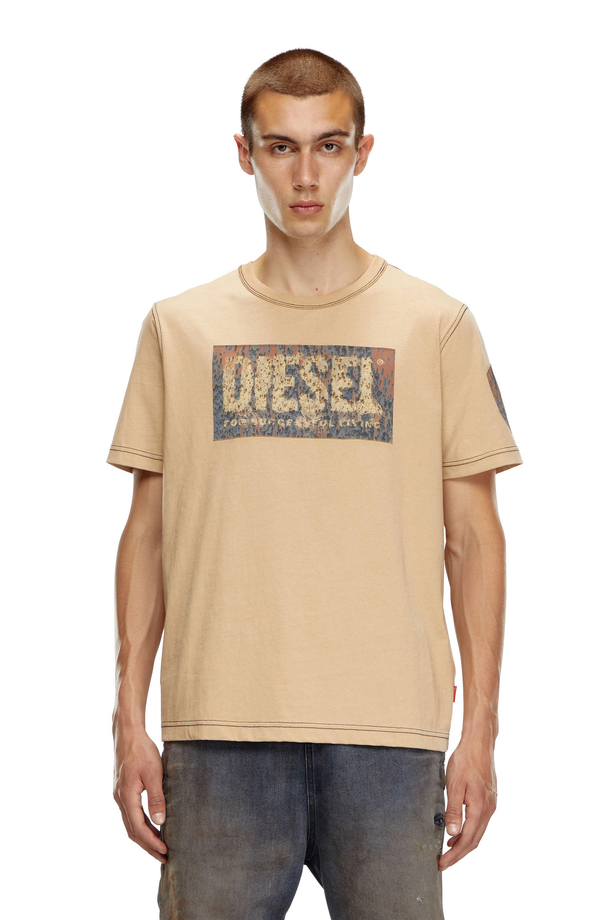 Diesel - T-ADJUST-Q1, Man's T-shirt with graphic patches in Light Brown - 3