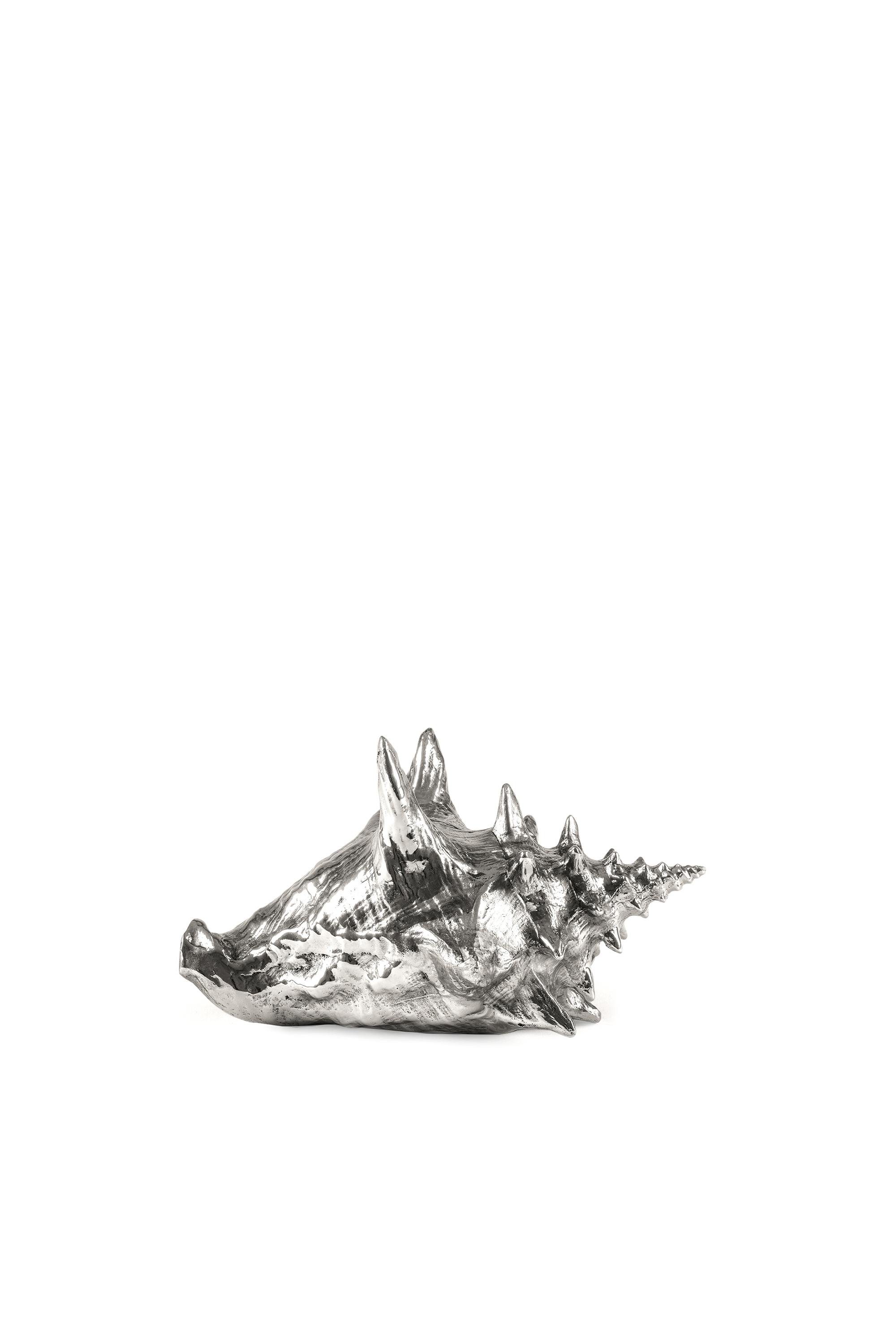 10894 WUNDERKAMMER, Silver Diesel - 10894 WUNDERKAMMER, Silver - Home Accessories - Image 1