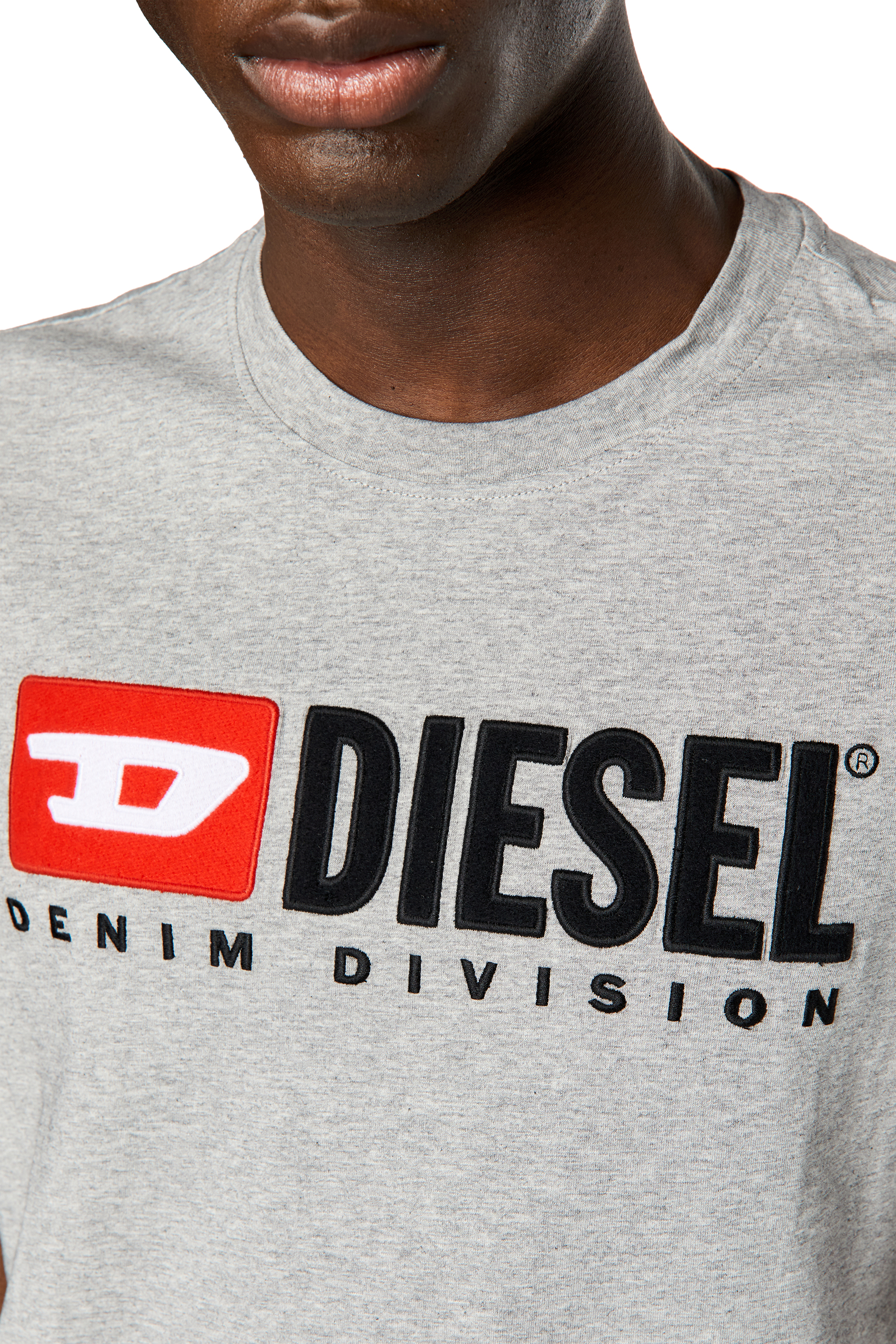 T-DIEGOR-DIV Man: T-shirt with embroidered logo | Diesel