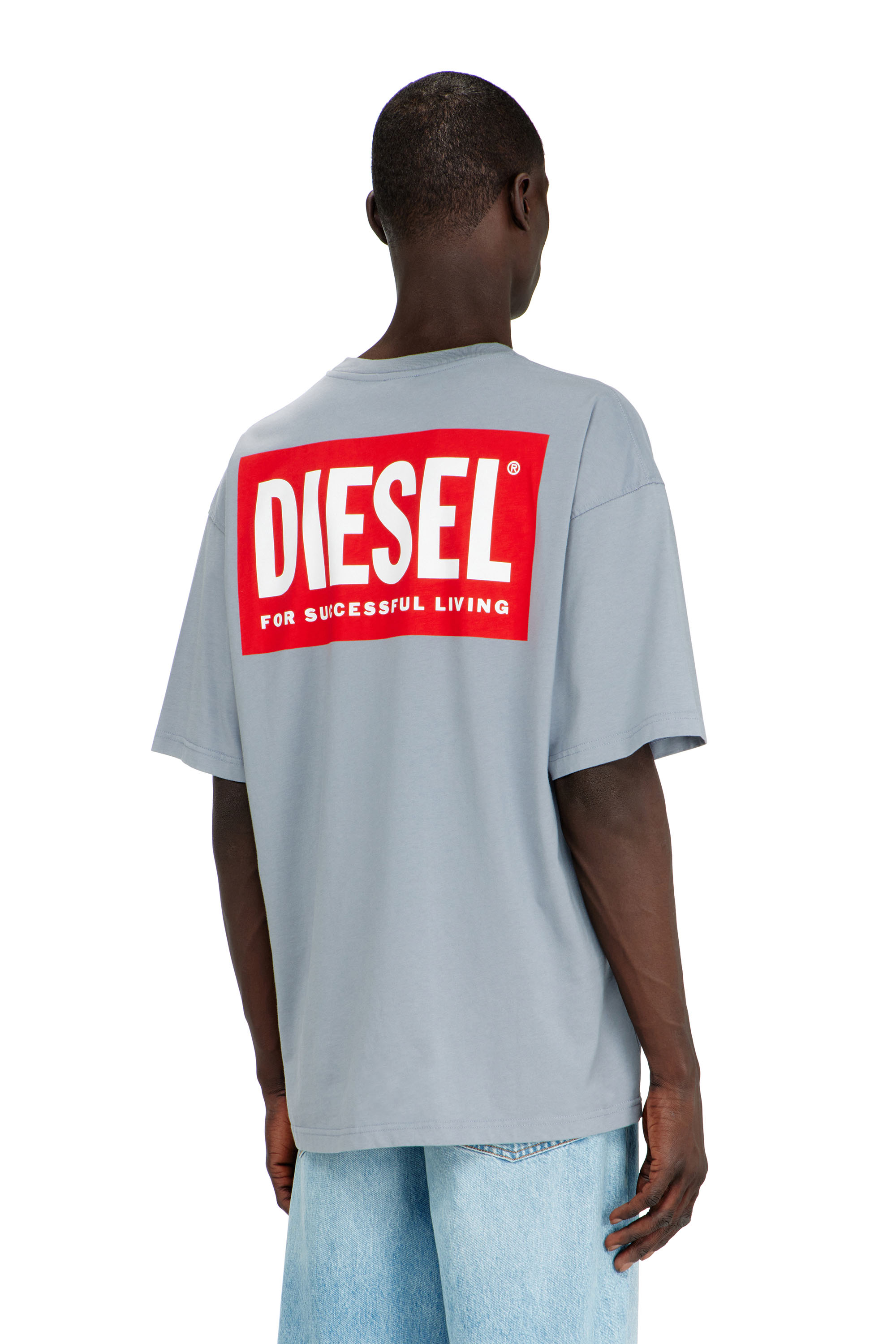 Diesel - T-BOXT-BISK, Man's Cotton T-shirt with Diesel Biscotto print in null - 3